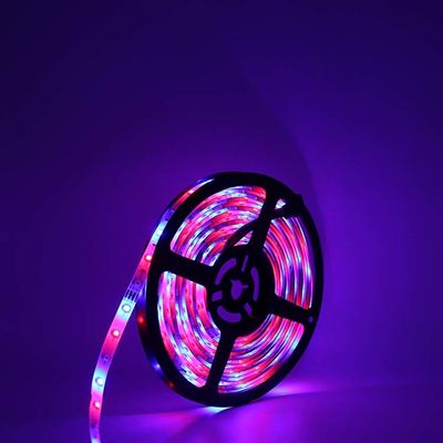 60leds/M Dynamic Programable Outdoor Led Strip Lights Rgb Waterproof