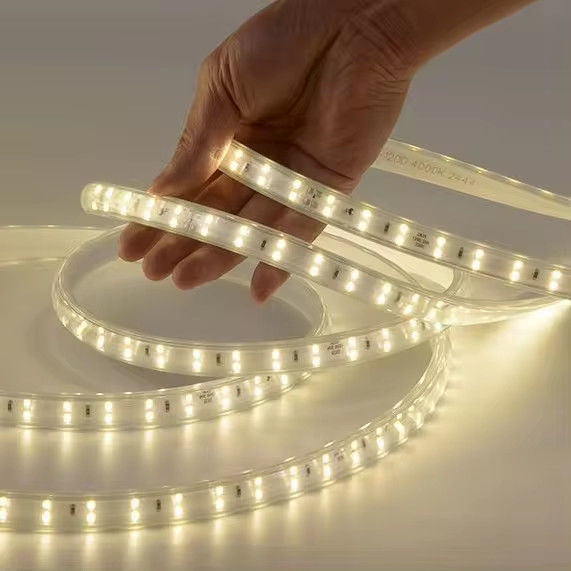 220-240 فولت SMD2835 120D 10W / M شريط LED ملون مع 80 Cri Long Life Span معتمد CE / RoHS في أمريكا الجنوبية