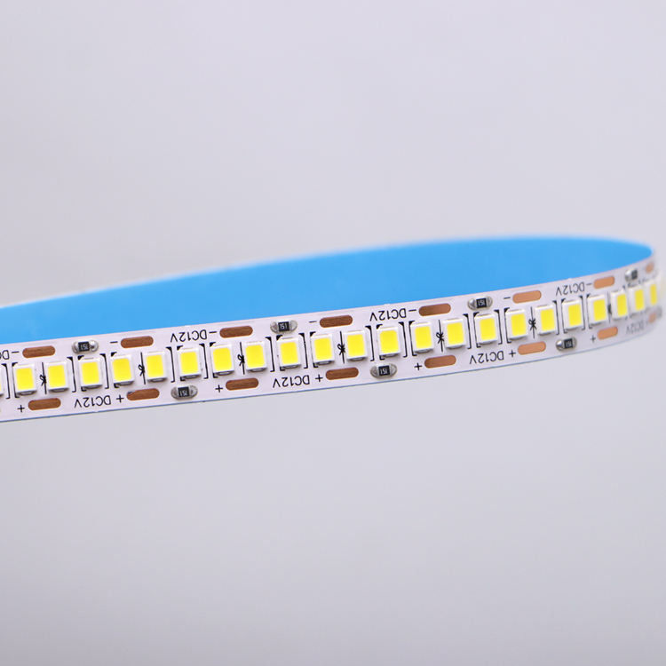 DC12V/24V 10mm 5M/Roll 2835 80Ra شريط LED مع PCB أبيض و 120° زاوية شعاع