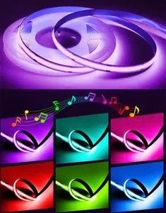 وزن المنتج: 0.3kg 5m 10m Smart Strip Light مع Dream Color RGB COB Chip LED