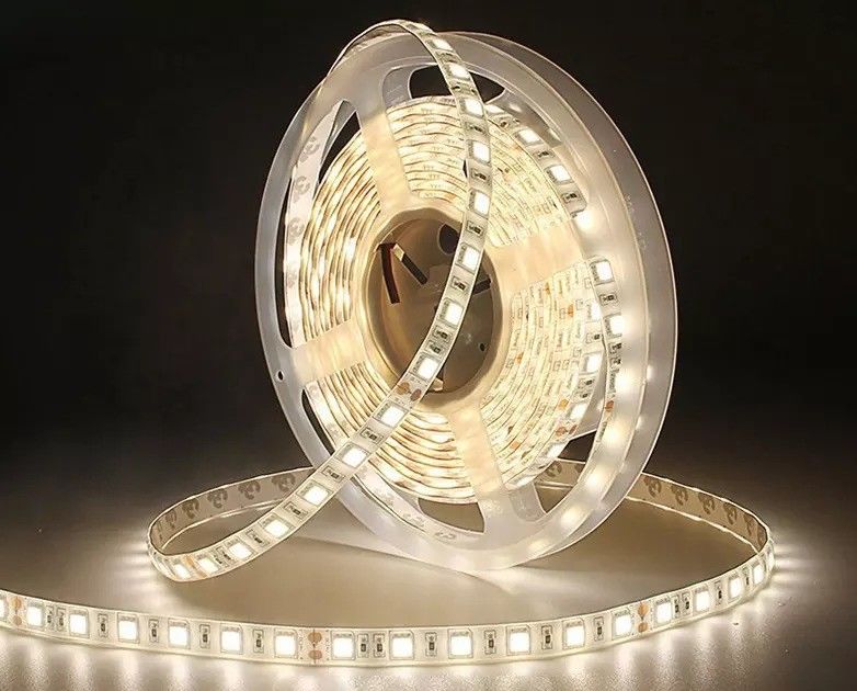12w 12v 24v 10mm 60 LEDs Rgb 5050 Smd الضوء المرن المتحرك مع ألوان متعددة