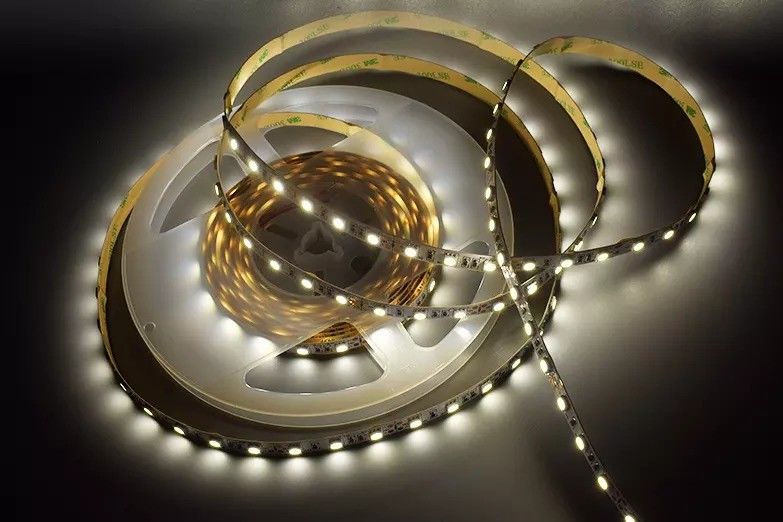 12w 12v 24v 10mm 60 LEDs Rgb 5050 Smd الضوء المرن المتحرك مع ألوان متعددة