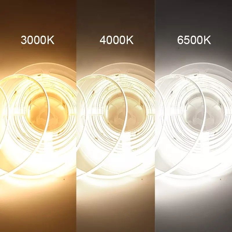 ضوء النيون RGBW RGBWW RGBIC RGB CCT للضوء الخارجي 50000 ساعة عمل